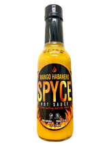 Spyce Hot Sauce 6 x 148ml | Choose Your Flavour | #GotSpyce?