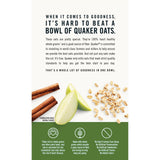 Quaker Instant Oatmeal Apple & Cinnamon (12 x 430g)
